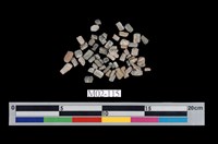 藏品(角閃石)的圖片